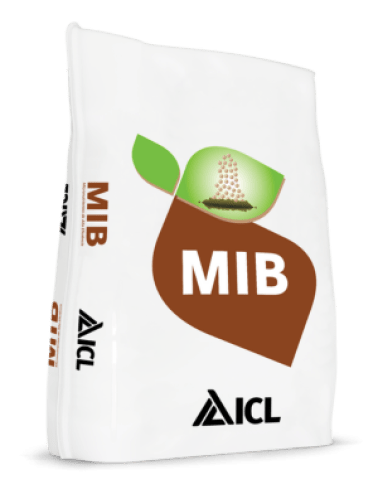 MIB PRODUMAN